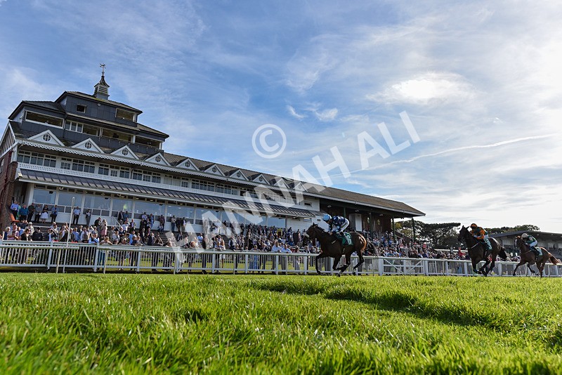 160924-Race 6-Count Palatine-6780 - Race 6