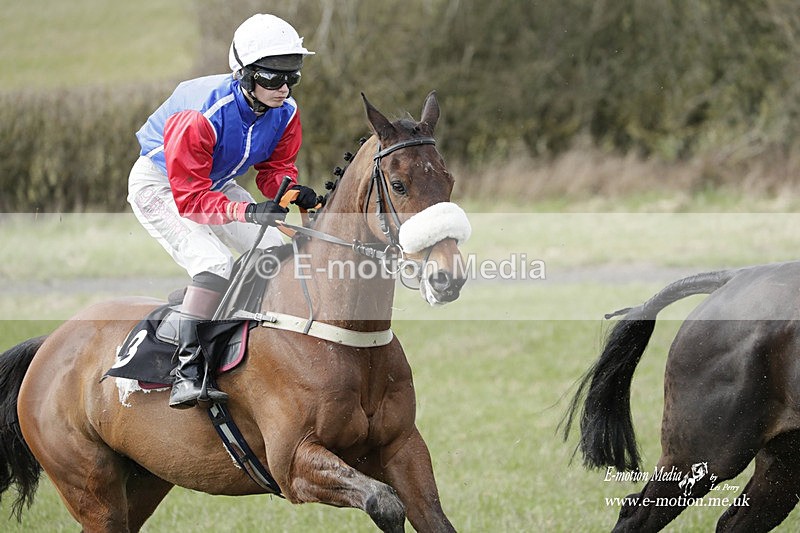 PtP 180323 462 - Shelfield Park Races with Croome & West Warwickshire Hunt  18/03/23