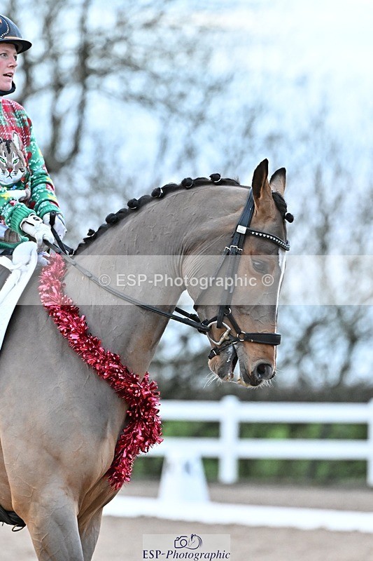 241214-154122-03339 - 138-Tyler.Bradshaw-Igor.VIII