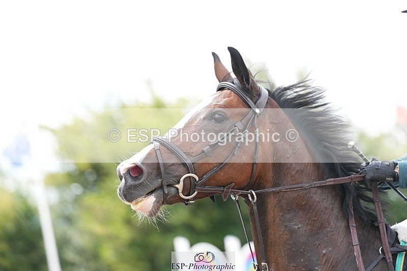 250731-150511-02067 - Cls 11 A&B 1.10cm Nat Am & 1.10 Open