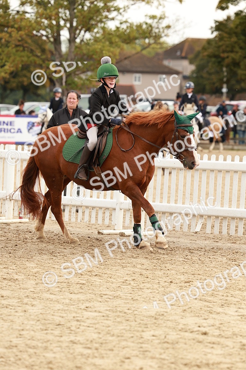 SBM_57656 - J11 - Junior Pony 50cm Championship