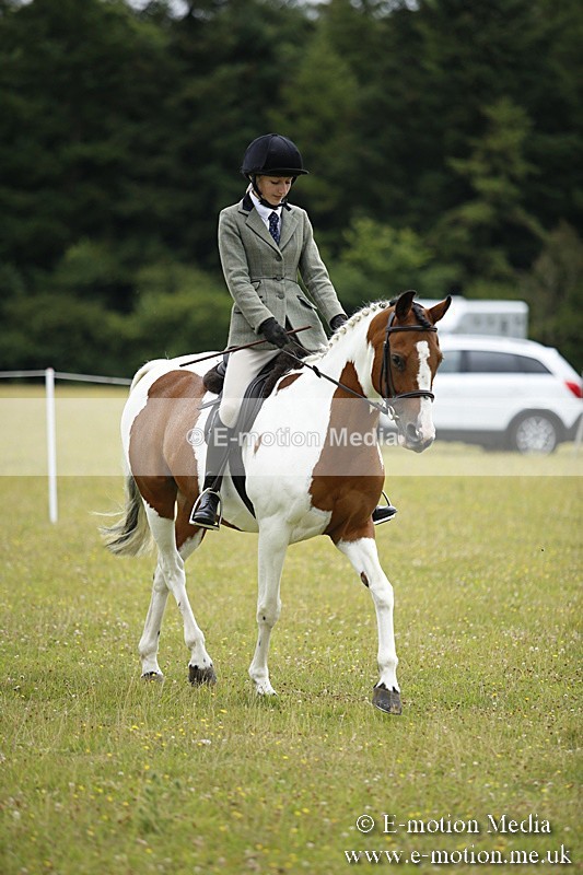 BVR160717-309 - Ring 1 BVRC Show 16/07/17