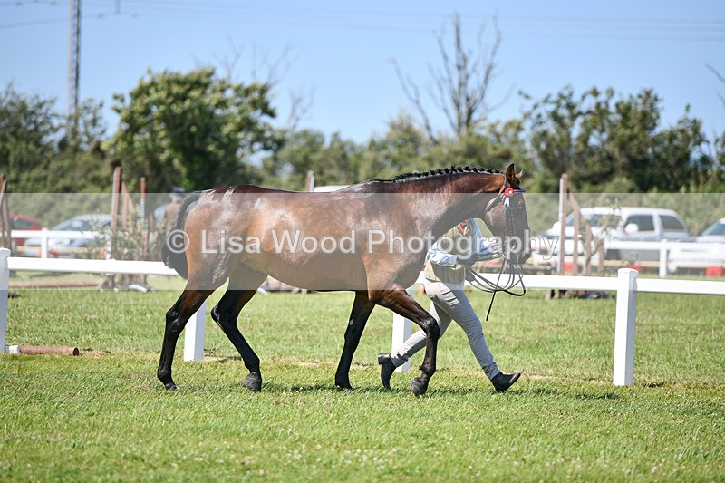 DSC_6888 - Class 58: Hunter/Riding Horse/Hack  4 yr olds +