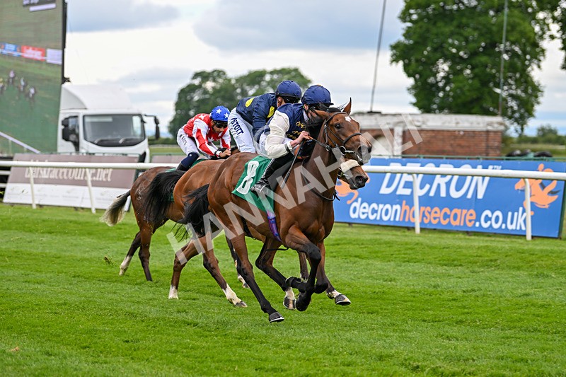 170625-Race 1-Royal Fixation-4347 - Race 1