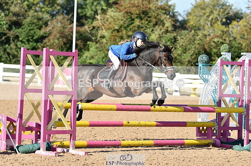 230903A-090204-03427 - Cls 17 Pony Intro 75cm