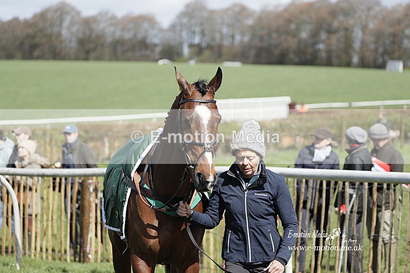 PtP 100423 461 - Old Berkshire Point-to-Point Lockinge 10/04/23