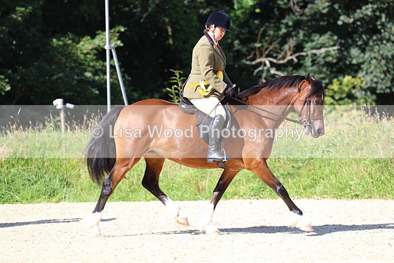 3E7A7985 - Class 14: Tack and Turnout