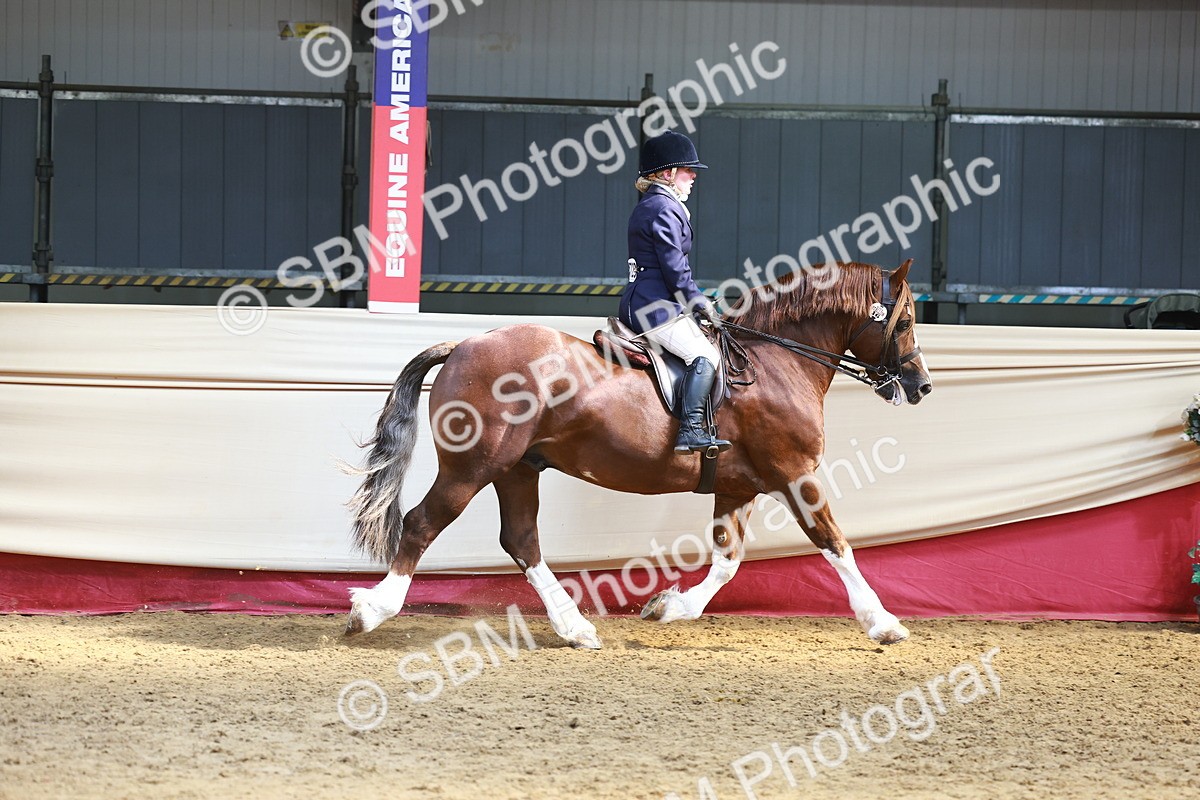 SBM_23318 - class 906 - Supreme Final - Ridden Pre Vet