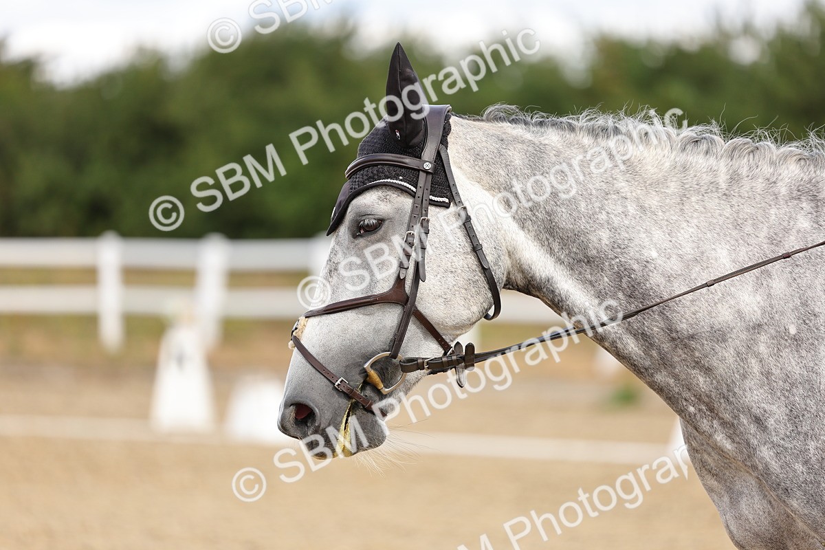 SBM_003701 - Class 1 - p4
