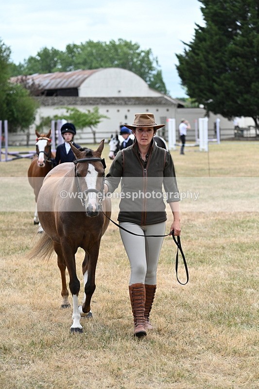 WJ7_1406 - Class 4 Prettiest Mare up to 14.2hh in hand
