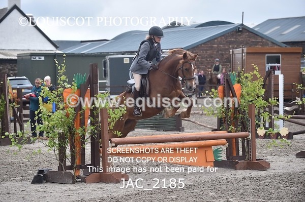 JAC_2185 - CLASS 2 Novice Working Hunter