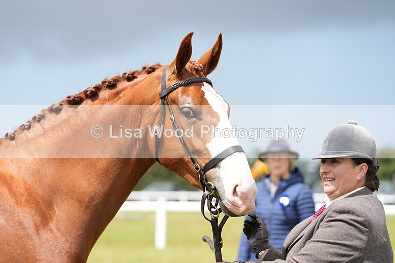 DSC06164 - Class 54: Hunter/Riding Horse/Hack 1 & 2 yr olds