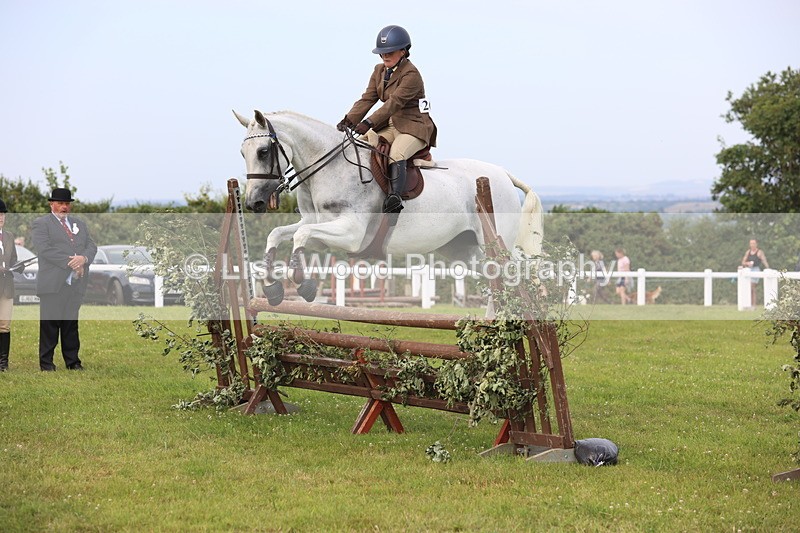 JPP_4163 - Class 25: Working Show Horse