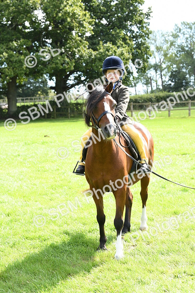 SBM_42588 - S20 - Lead Rein Mountain & Moorland Pony