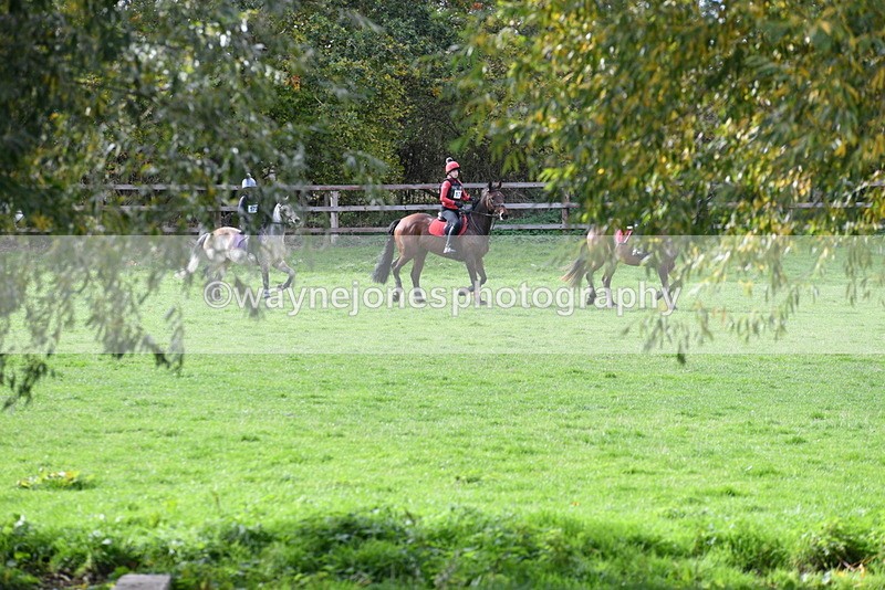 WJ5_9098 - Time 12:34 to 12:57