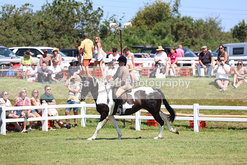 3E7A7869 - Class 7: Open Riding Horse