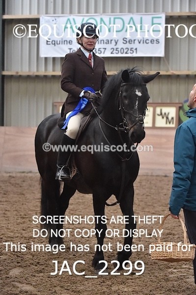 JAC_2299 - CLASS 2 Novice Working Hunter