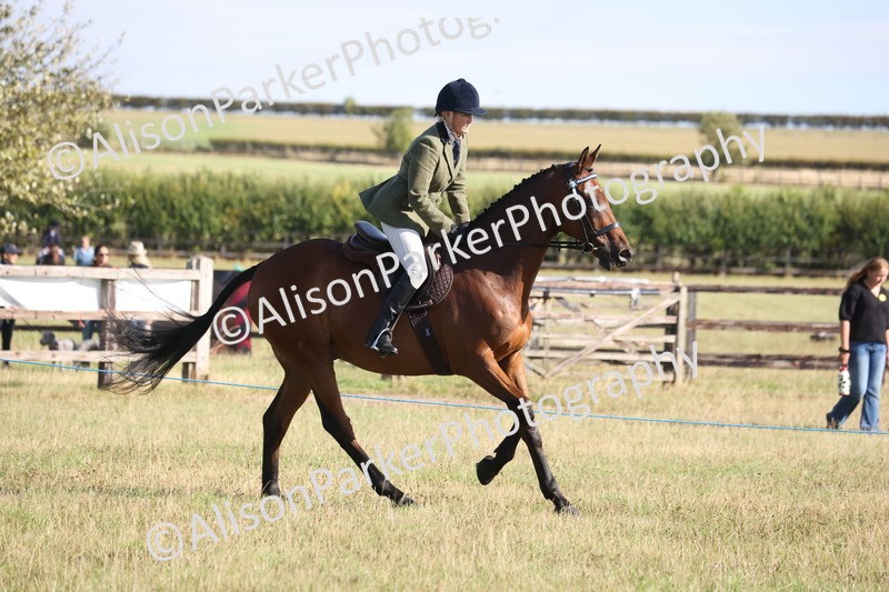 20260906-0386 - Class 14 - Ex Racehorse