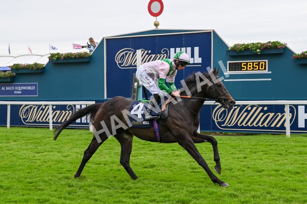 250524-Race 3-Starlust-3263 - Race 3 2.45pm William Hill Extra Place Races Daily Handicap