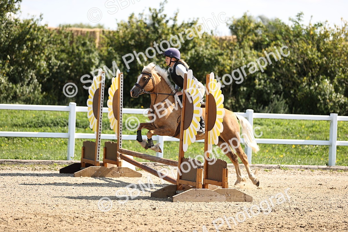 SBM_001230 - AE - 50cm
