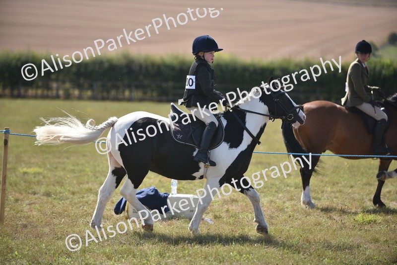 20260906-1778 - Class 11 - 13hh and Under