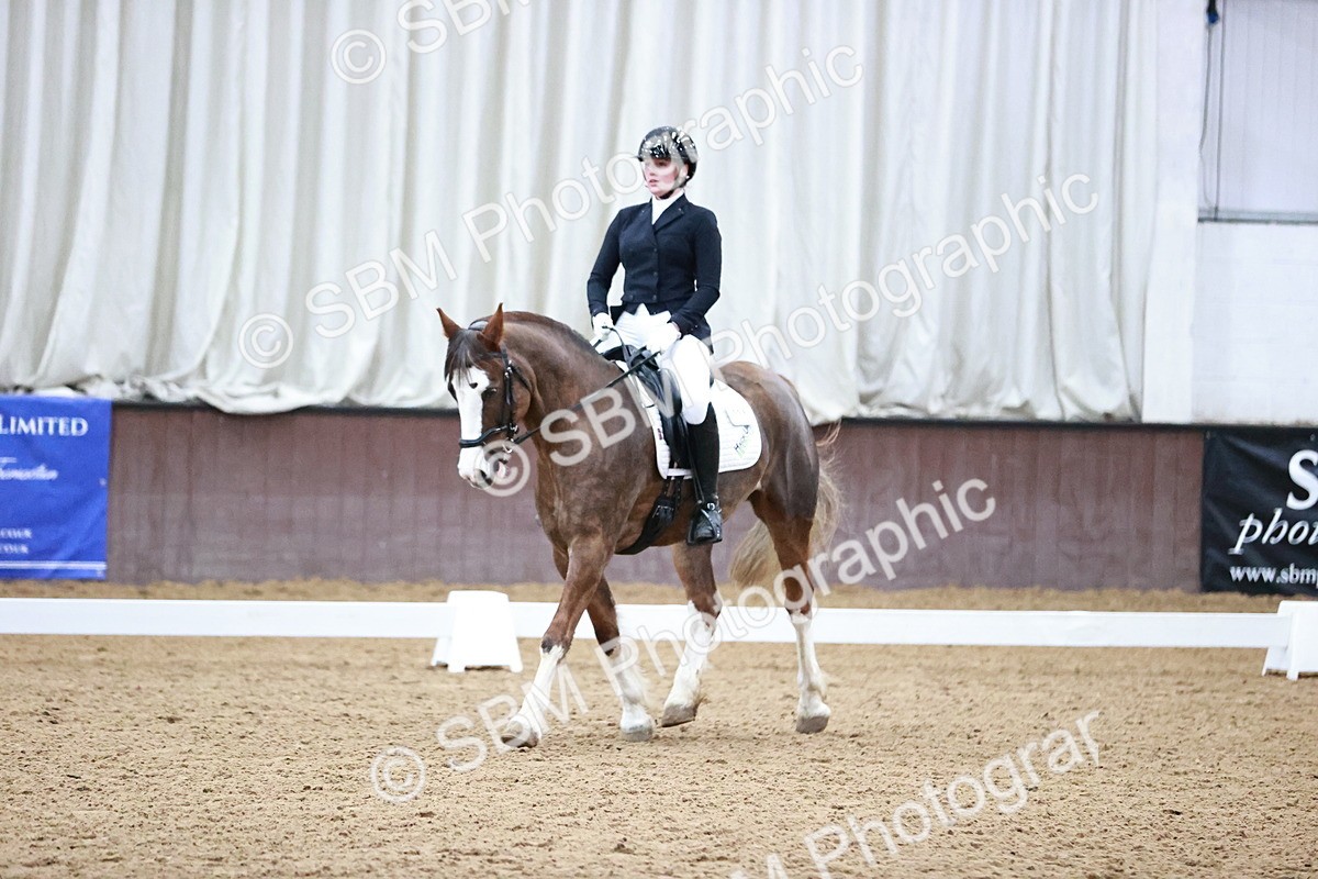 SBM_000141 - Class 3, 4, 8, 10 Intro 3 Prelim 3 Novice 2