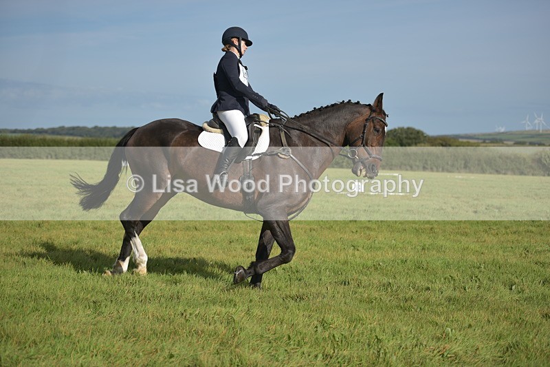 RAY_7503 - Class 2B: Trekenning Open: Dressage