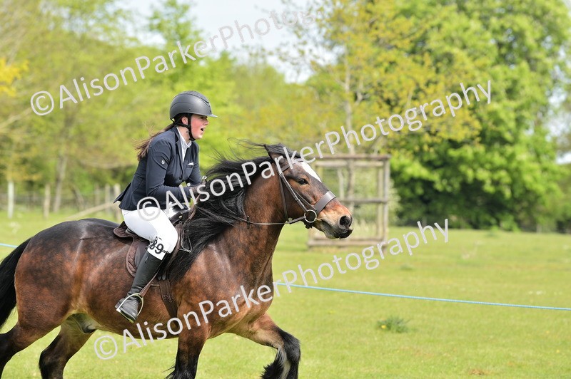 20260426-2380 - Class 21 - Working Hunter Ponies