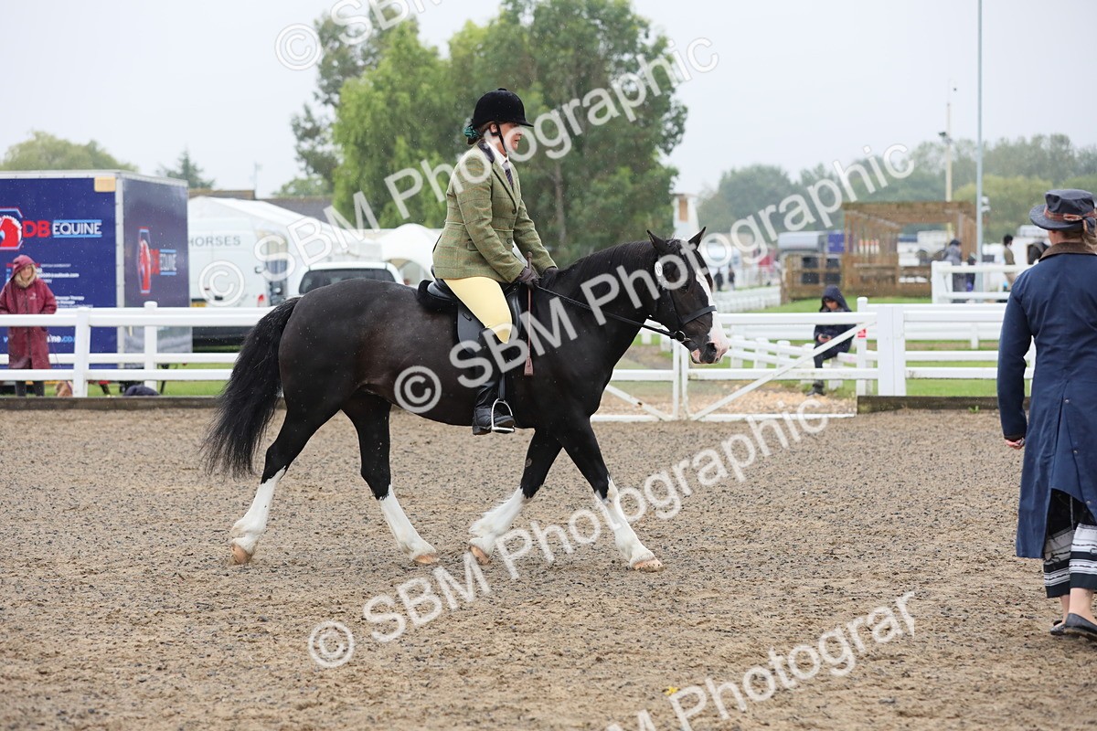 SBM_20066 - Class 802 - Ridden Groom - Helpers class