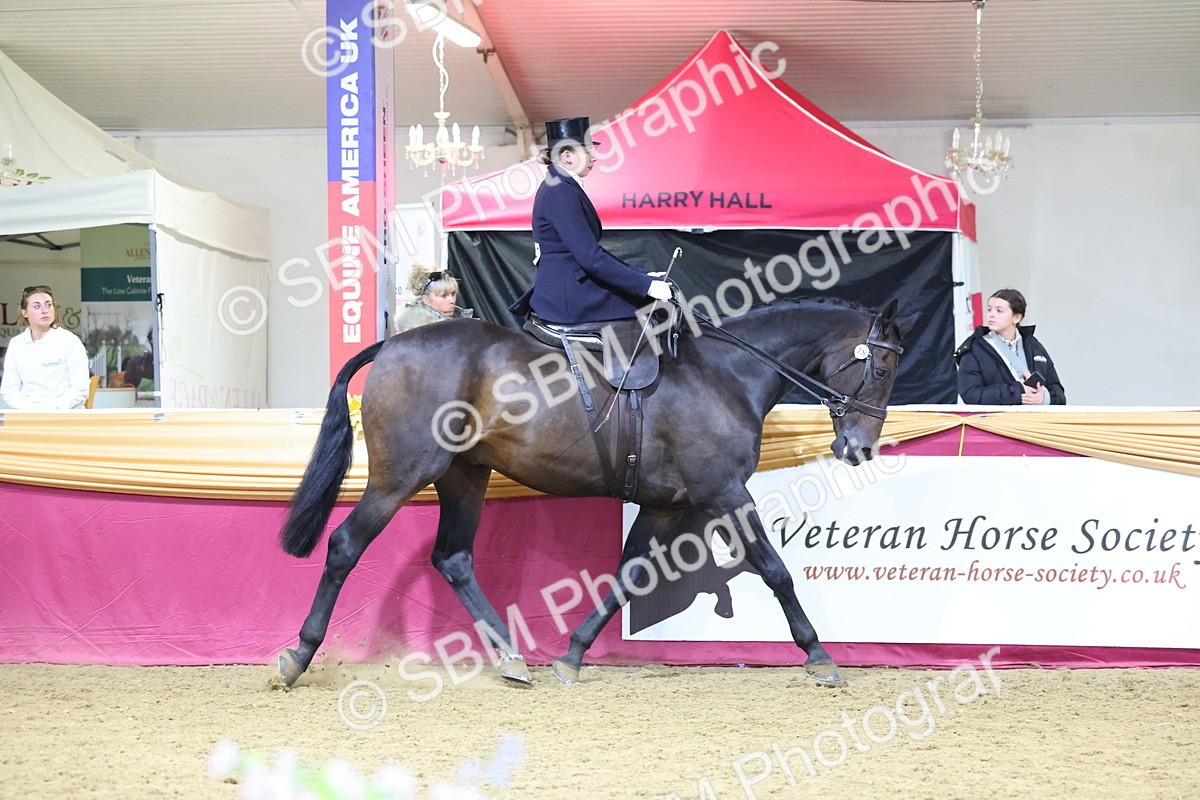 SBM_19294 - Class K Equitation Champ