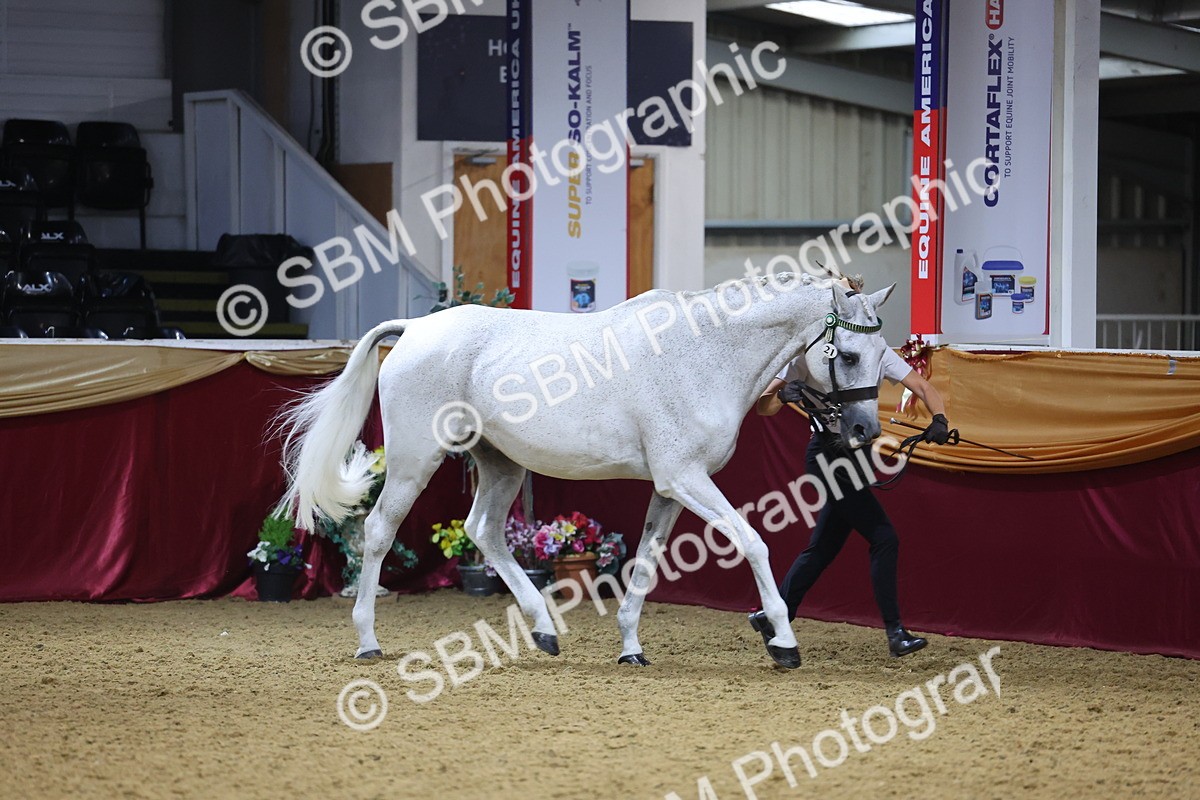 SBM_20807 - Class 902 - Supreme Final IH Veteran