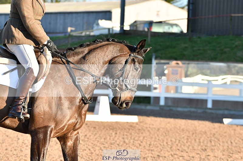 240107A-102722-01155 - UnAff Intro A and B Tests