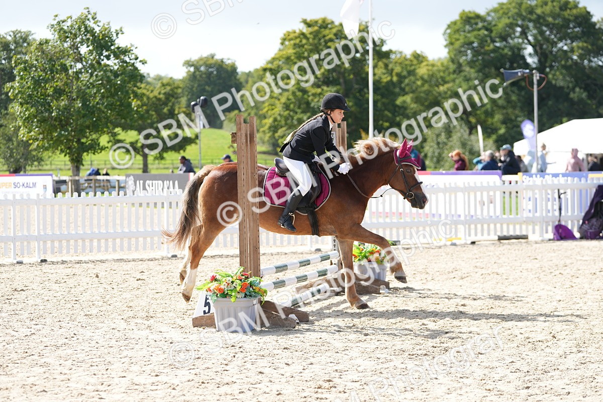 SBM_18002 - J58 - Clear Round 50cm