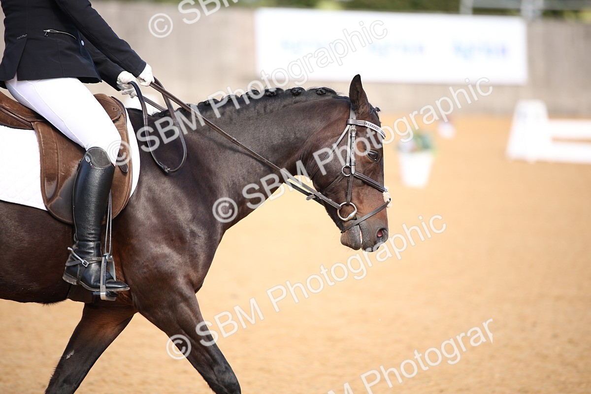 SBM_01977 - D2 Small Tour Championship Intro C