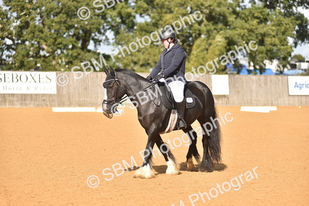 SBM_03266 - D4 - Small Tour Championship Intro 4