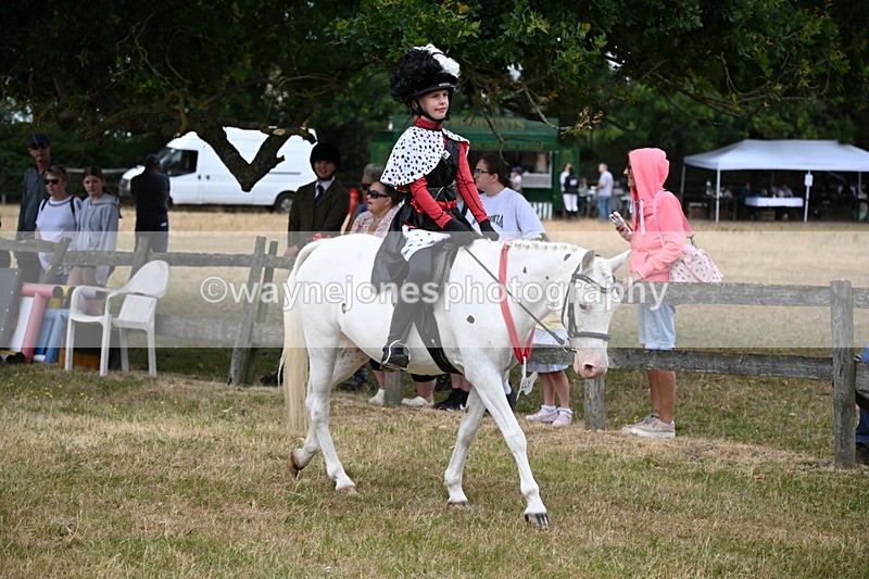 WJ6_4620 - Class 11 Fancy Dress