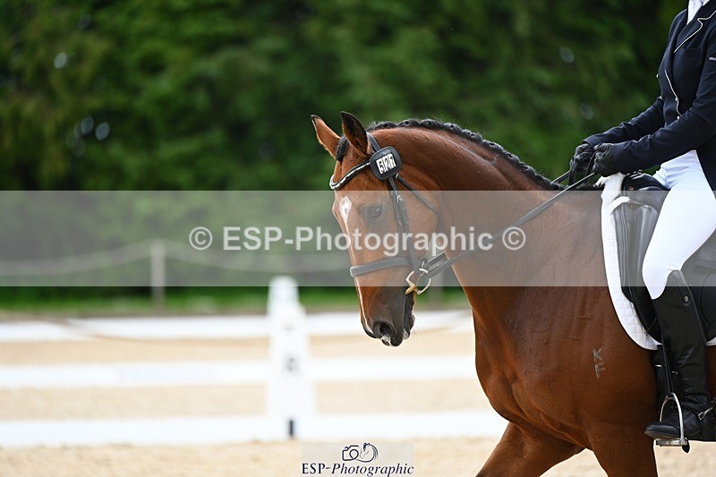 240524-140132-10120 - 527-SEATTLE_PARK-Sophia_Hill