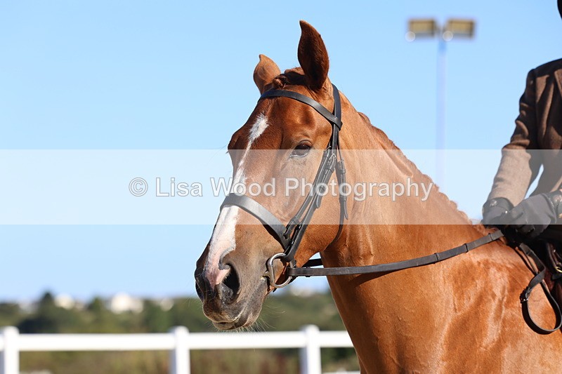 3E7A5210 - Class 7: Novice Ridden Hunter/Hack/RH/Cob