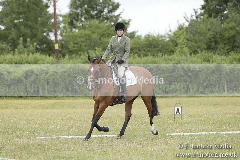 BVR160717-1466 - Class 3 Dressage 16/07/17