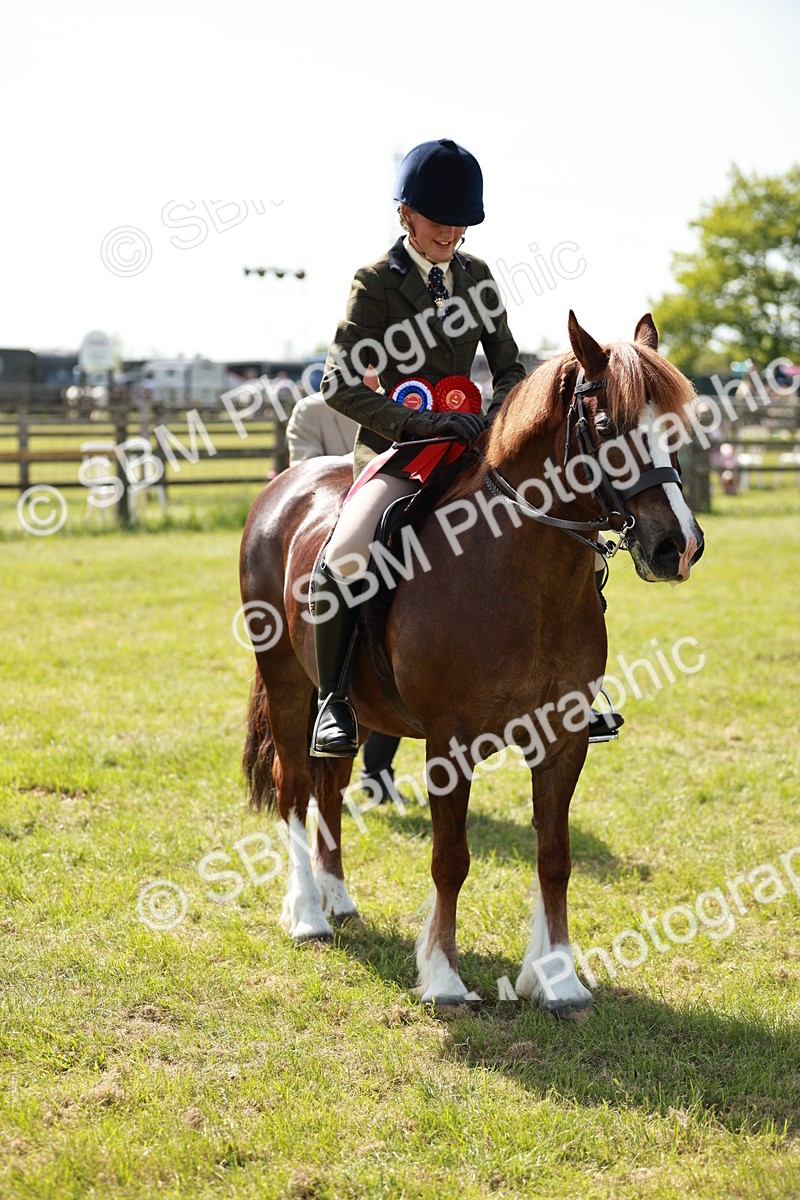 SBM_08502 - Class 61-62 - TSR  M&M Ridden Amateur of the Year