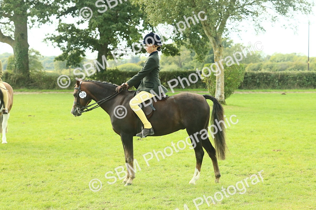 SBM_68077 - S57 - Part Bred Pony Ridden