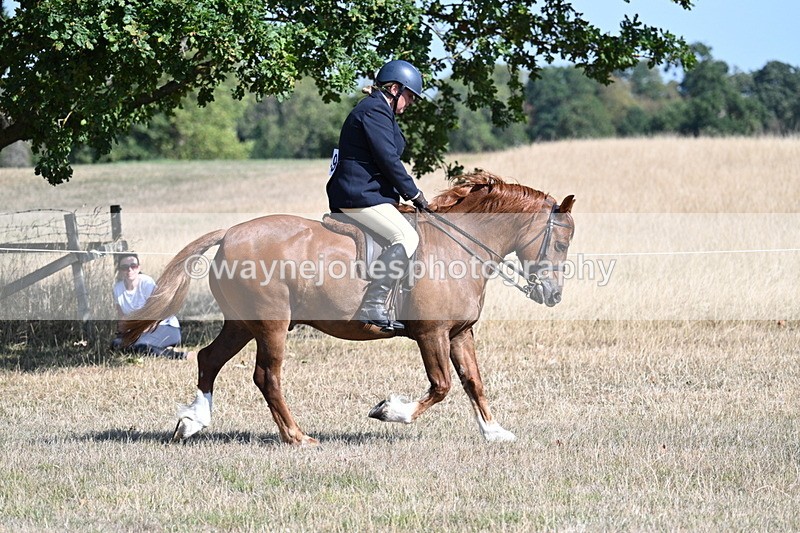 WJ7_3852 - Class 9 Mountain & Moorland Ridden