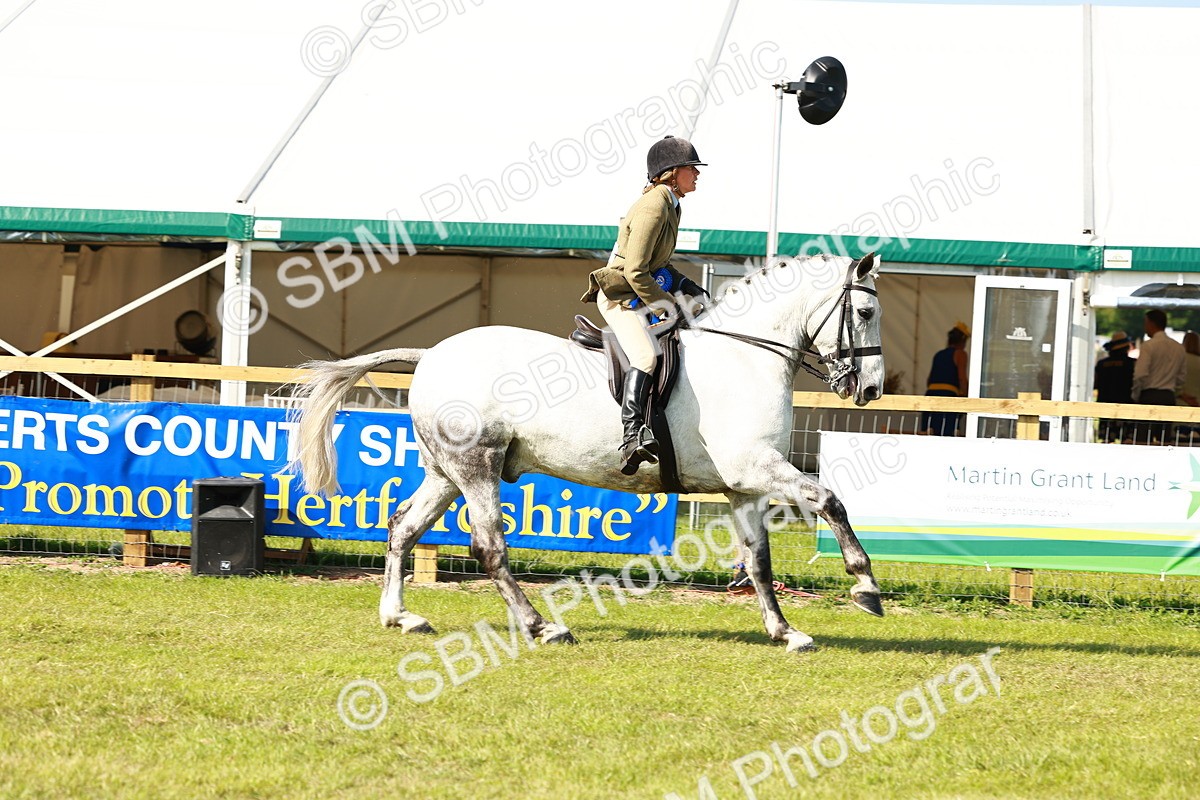 SBM_11939 - Class 66-69 - RIHS Ridden Hunters Inc Small Hunter