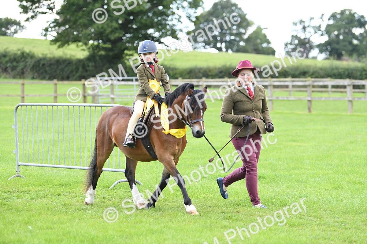 SBM_42697 - S20 - Lead Rein Mountain & Moorland Pony