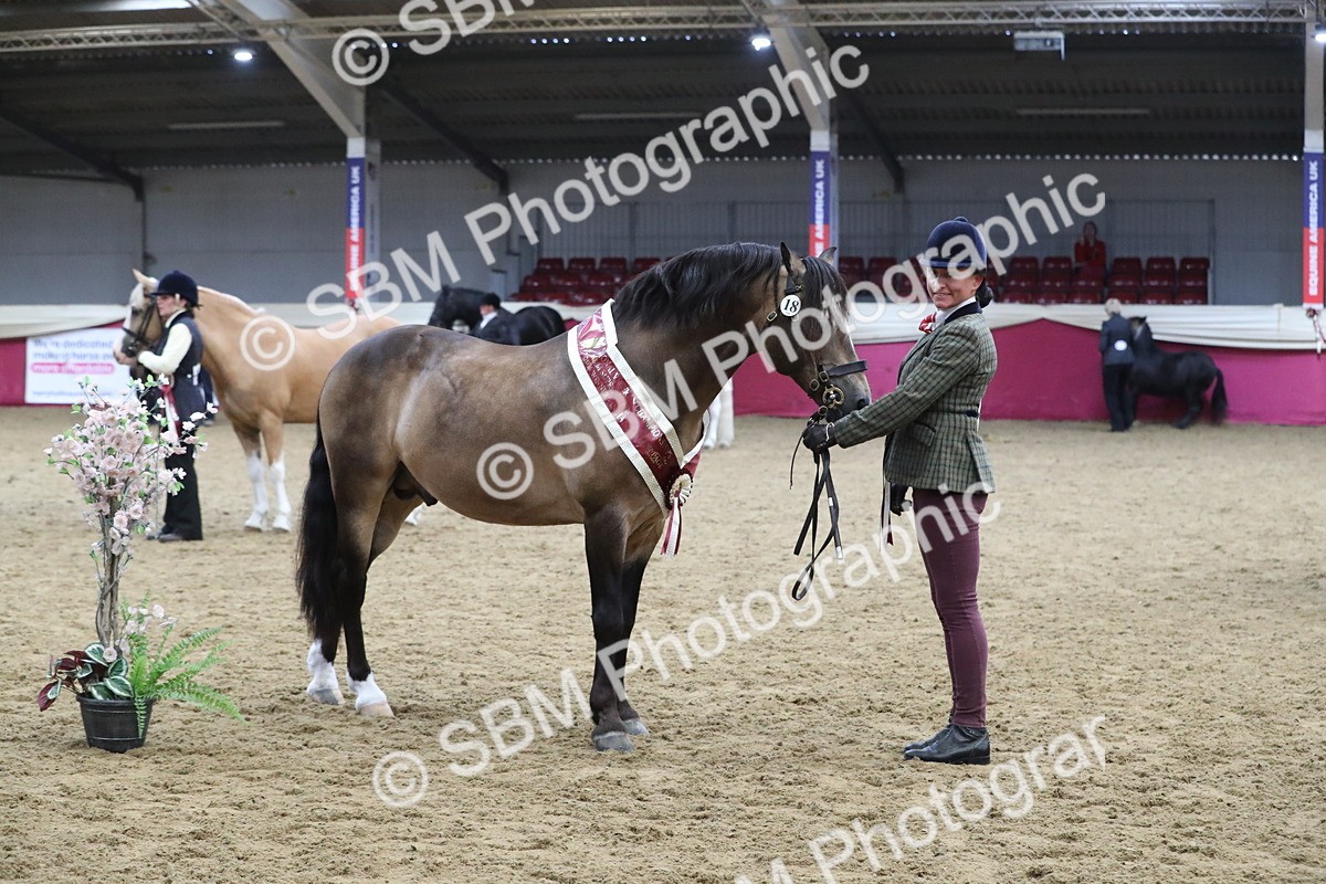 SBM_15414 - Class 501 M&M IH Supreme Final