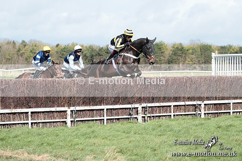 PtP 230324 253 - Tedworth Hunt PtP Larkhill Raccourse 23rd March 2024