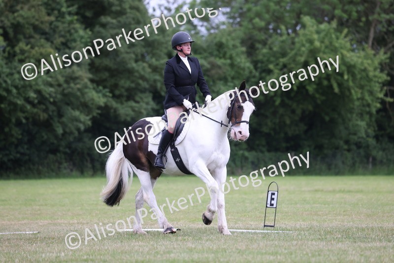 20250605-0735 - Class 4 - Novice 2