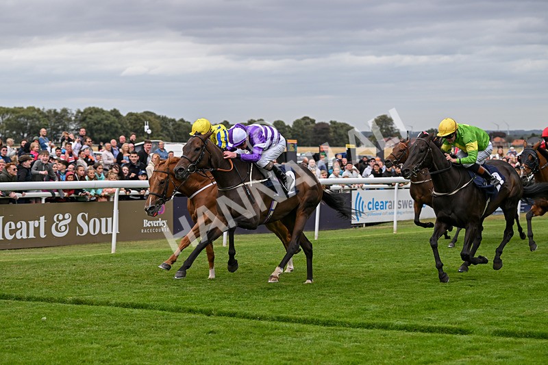 250824-Race 2-Ludos Landing-2957 - Race 2