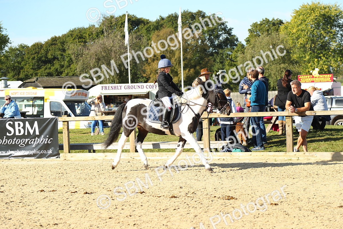 SBM_35904 - J5 - Junior Pony 50cm Championship