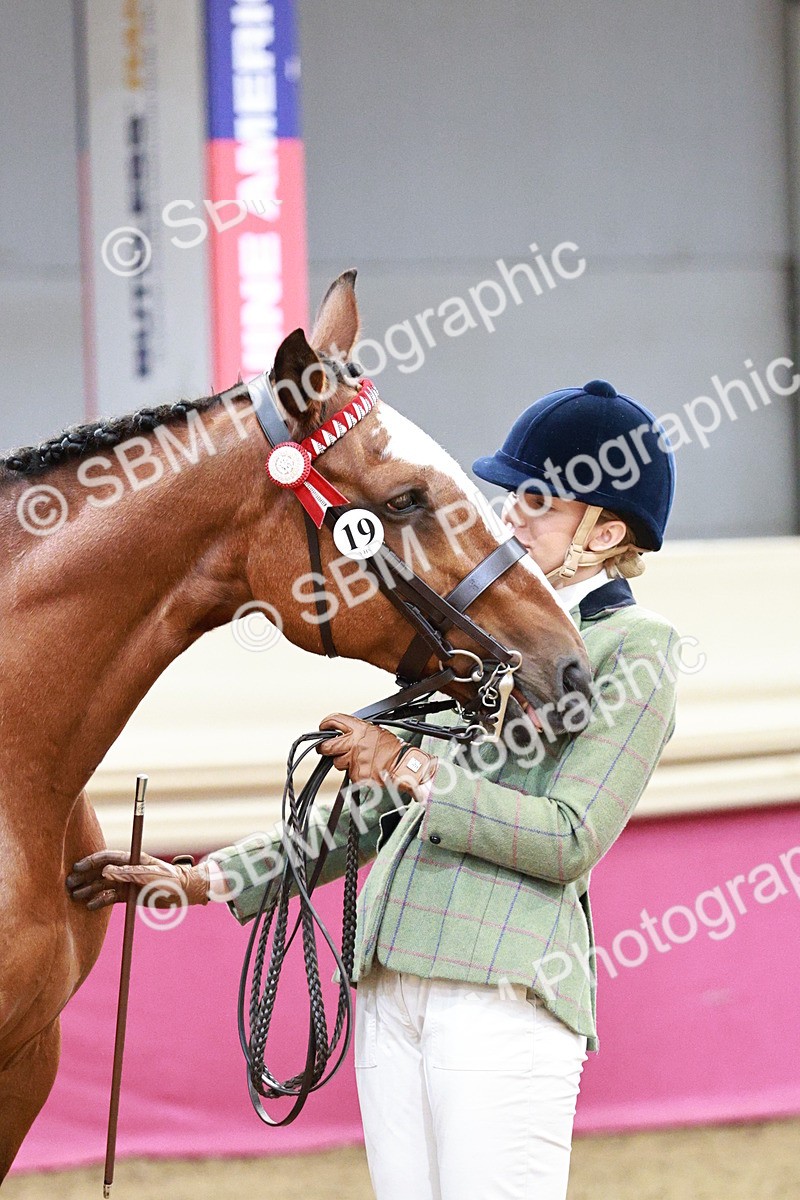 SBM_01290 - Class 3A - Area IH Pre-Vet
